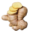 Ginger Root