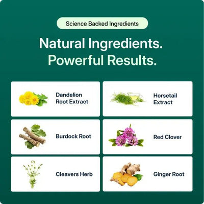 Golden Root Lymphatic Drainage Cleanse 2025 - Golden Root