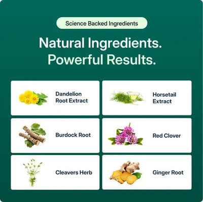 Golden Root Lymphatic Drainage Cleanse - Golden Root