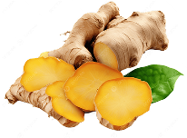 Raíz de Jengibre